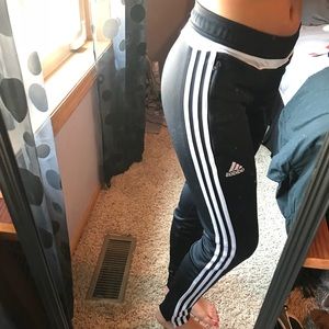 Climacool Adidas pants